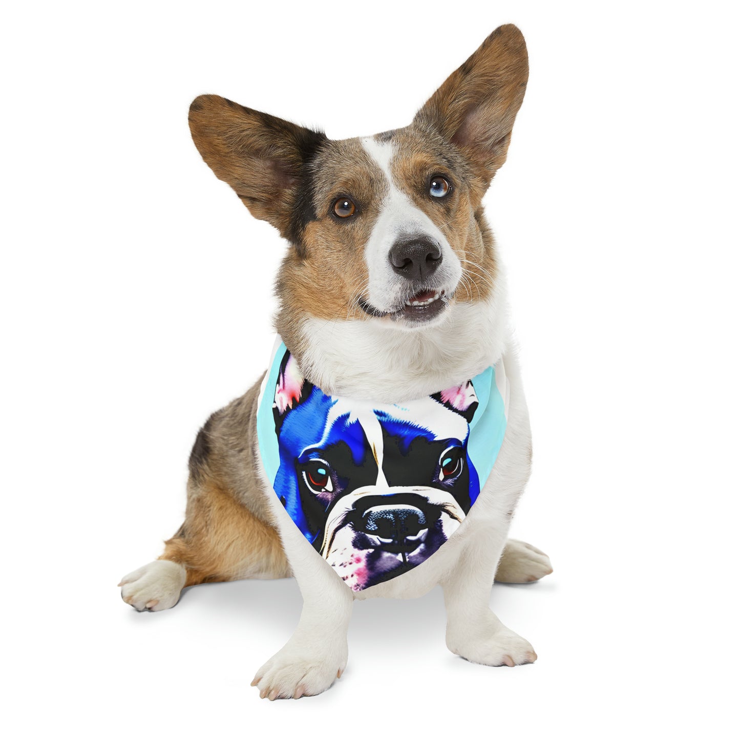 Blue Frenchie Pet Bandana Collar