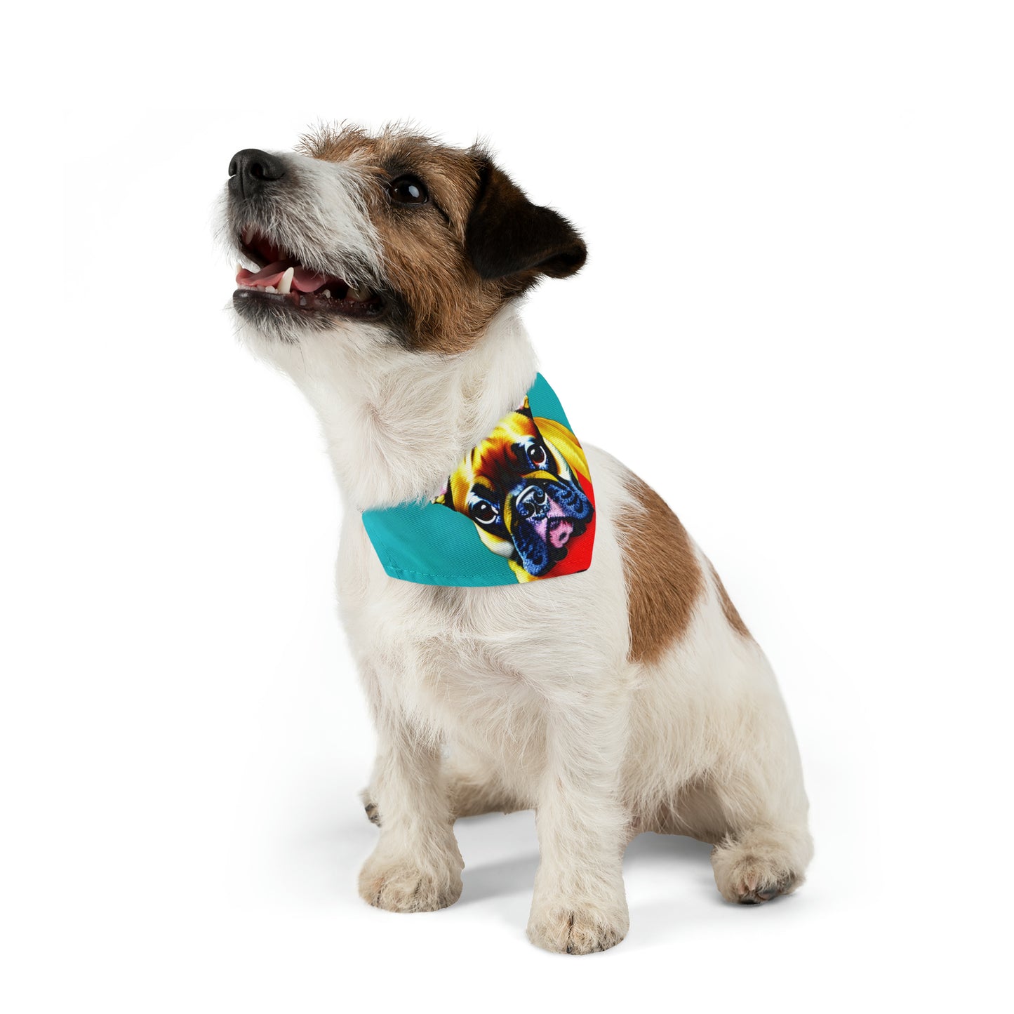 Frenchie on a Skateboard #2 Pet Bandana Collar