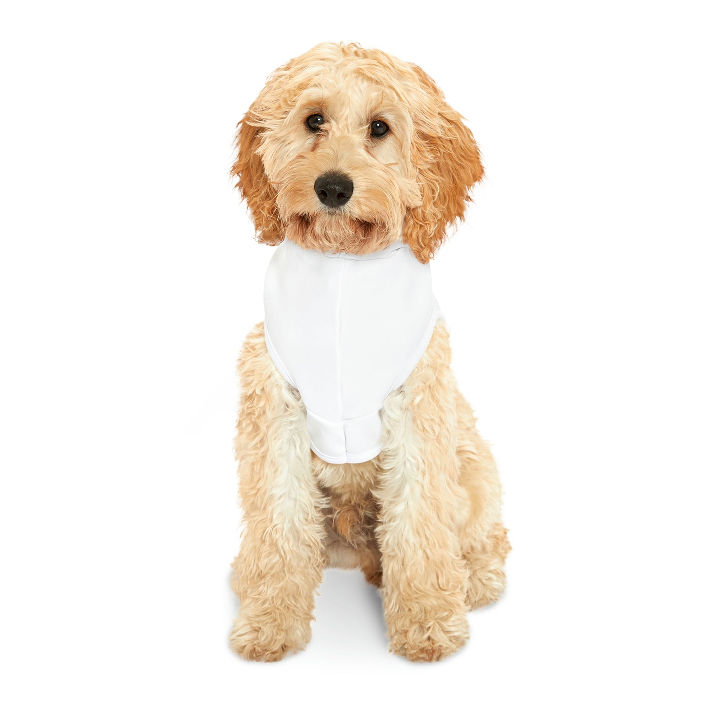 Surfing Frenchie Pet Hoodie