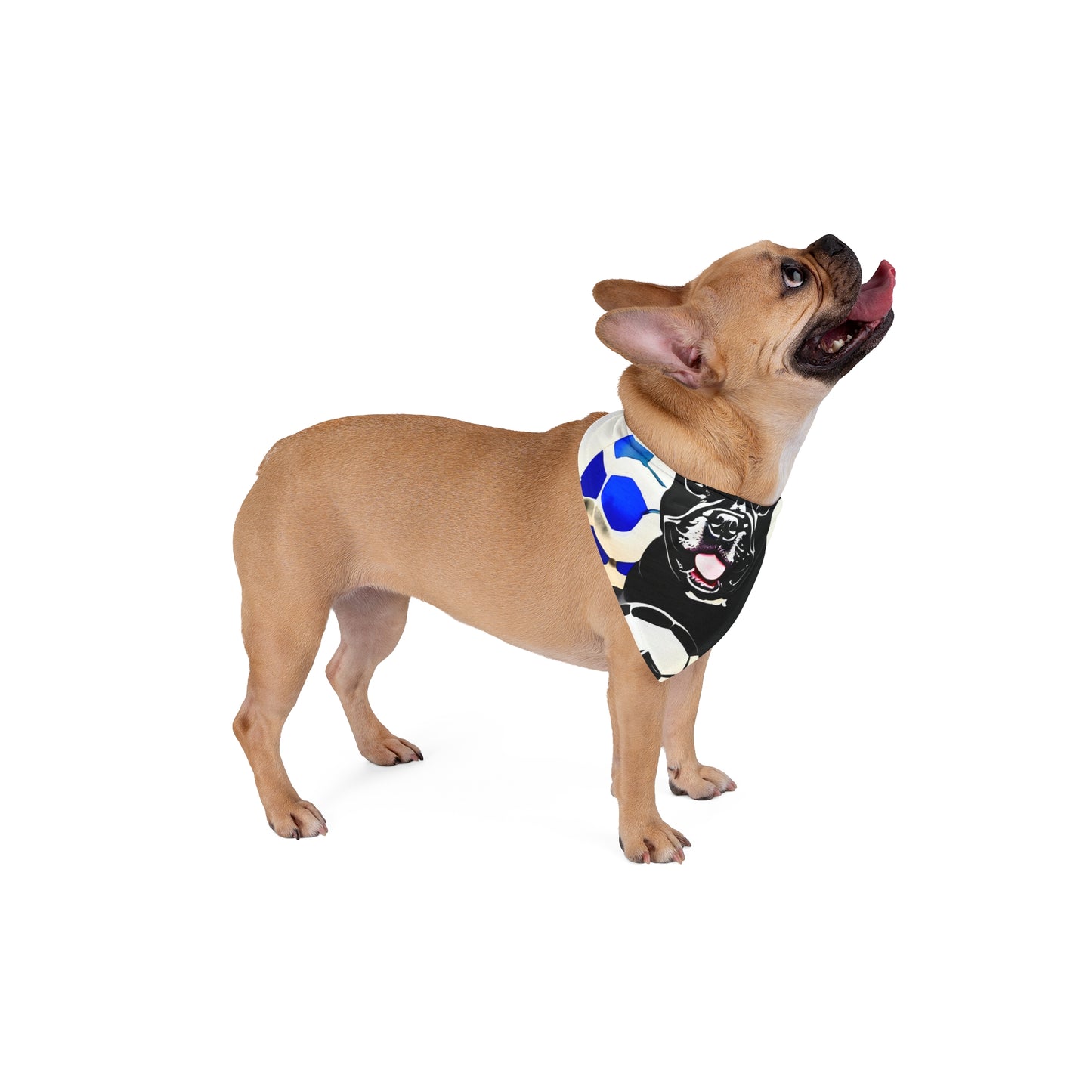 Frenchie with a Soccer Ball Pet Bandana #2