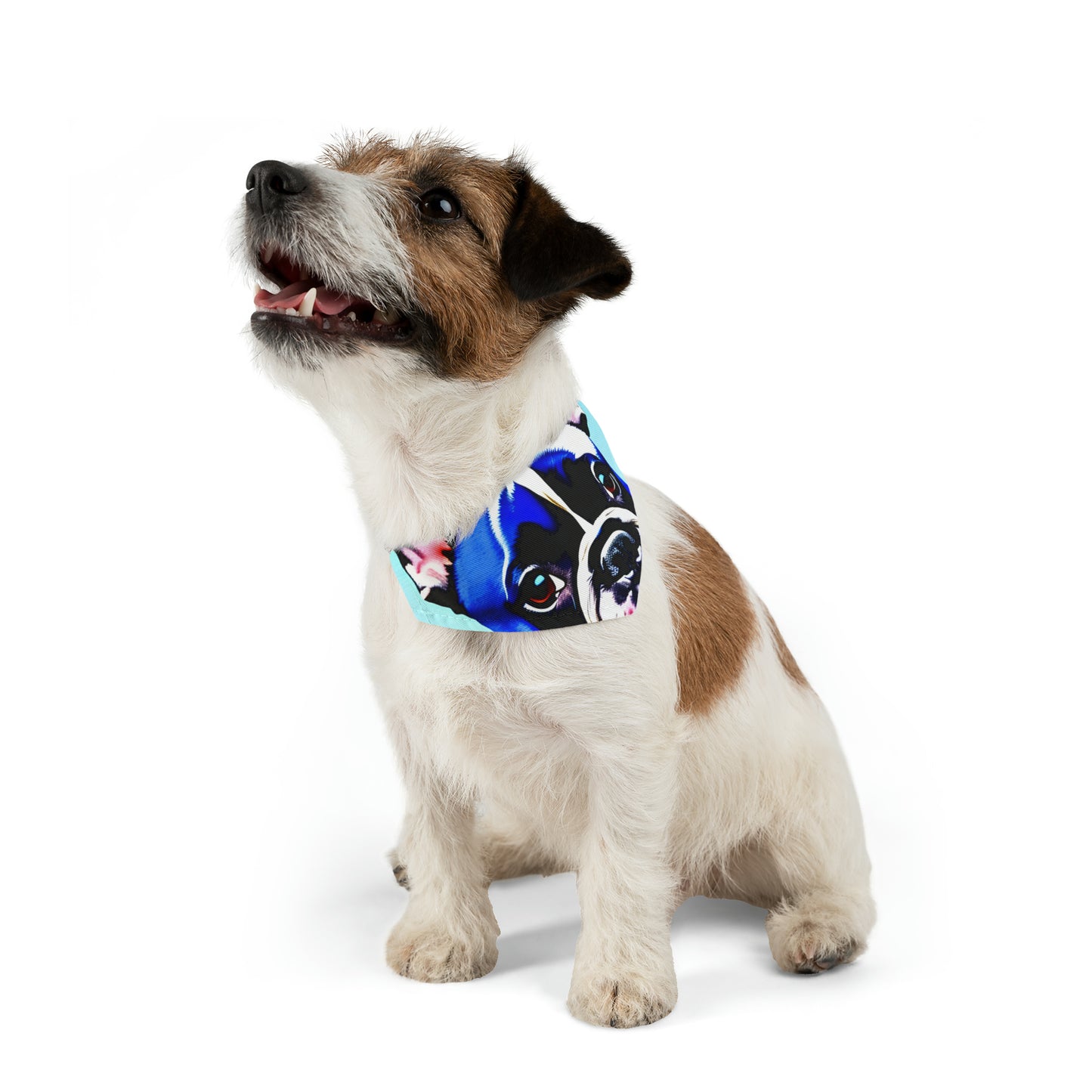 Blue Frenchie Pet Bandana Collar