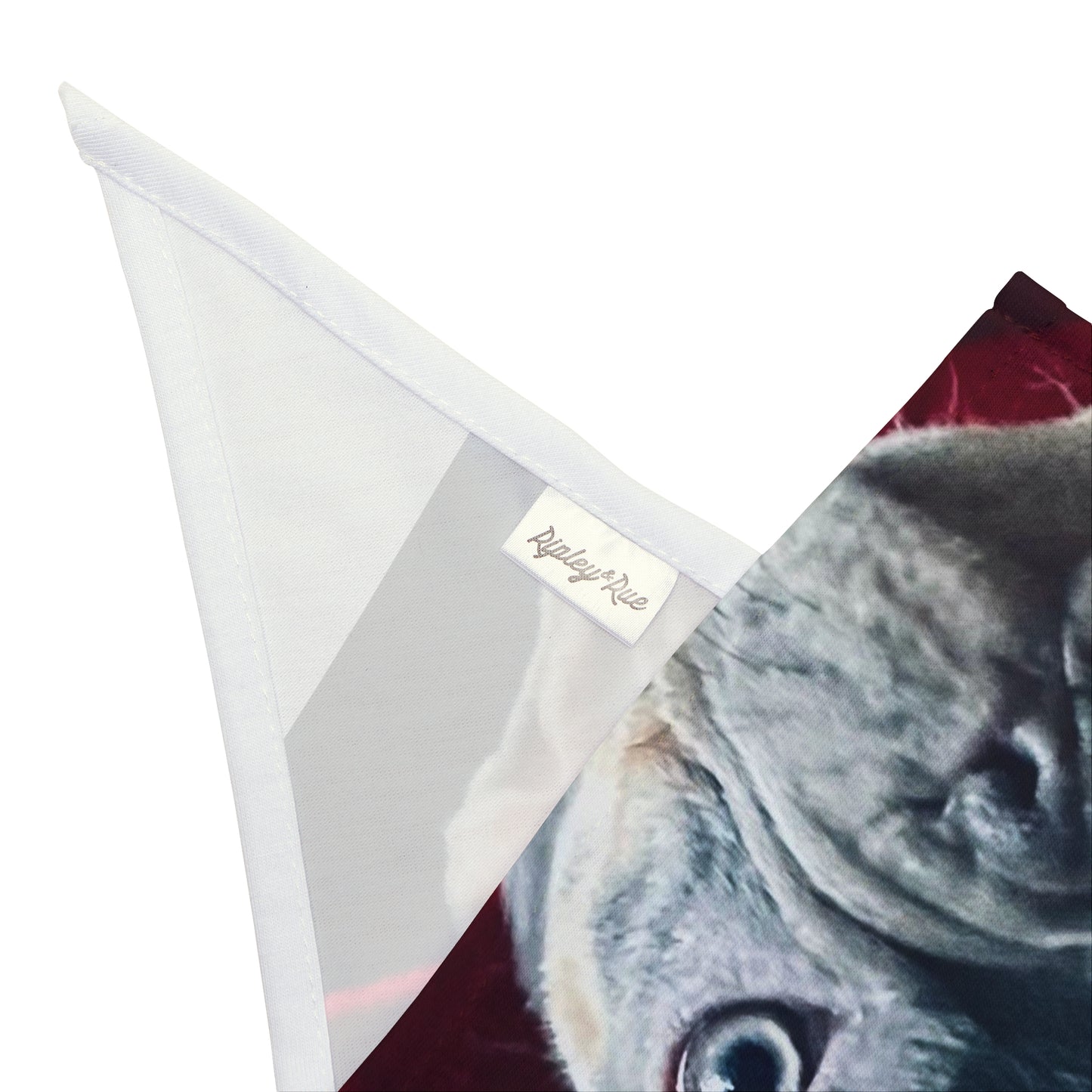 Romeo The Frenchie Pet Bandana #2