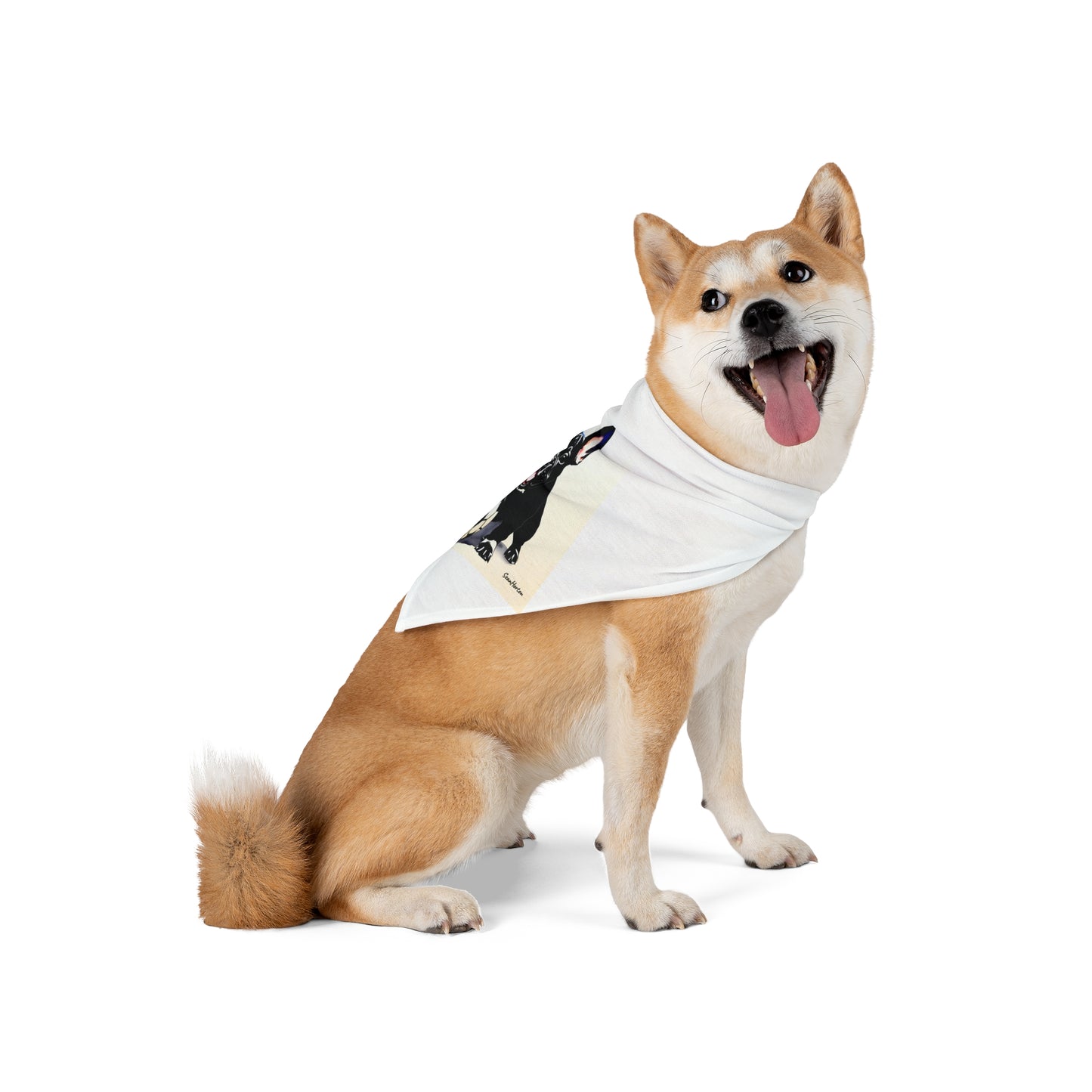 Frenchie with a Soccer Ball Pet Bandana