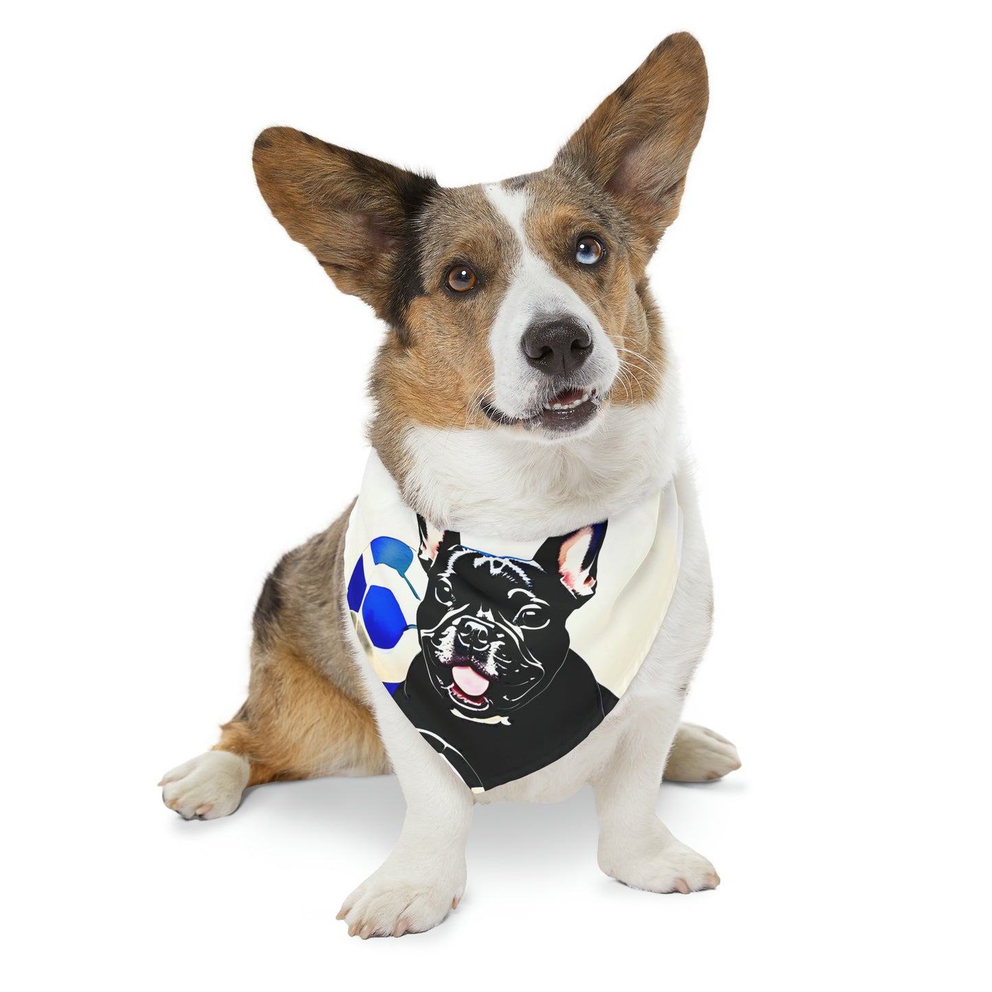 Frenchie with a Soccer Ball Pet Bandana Collar