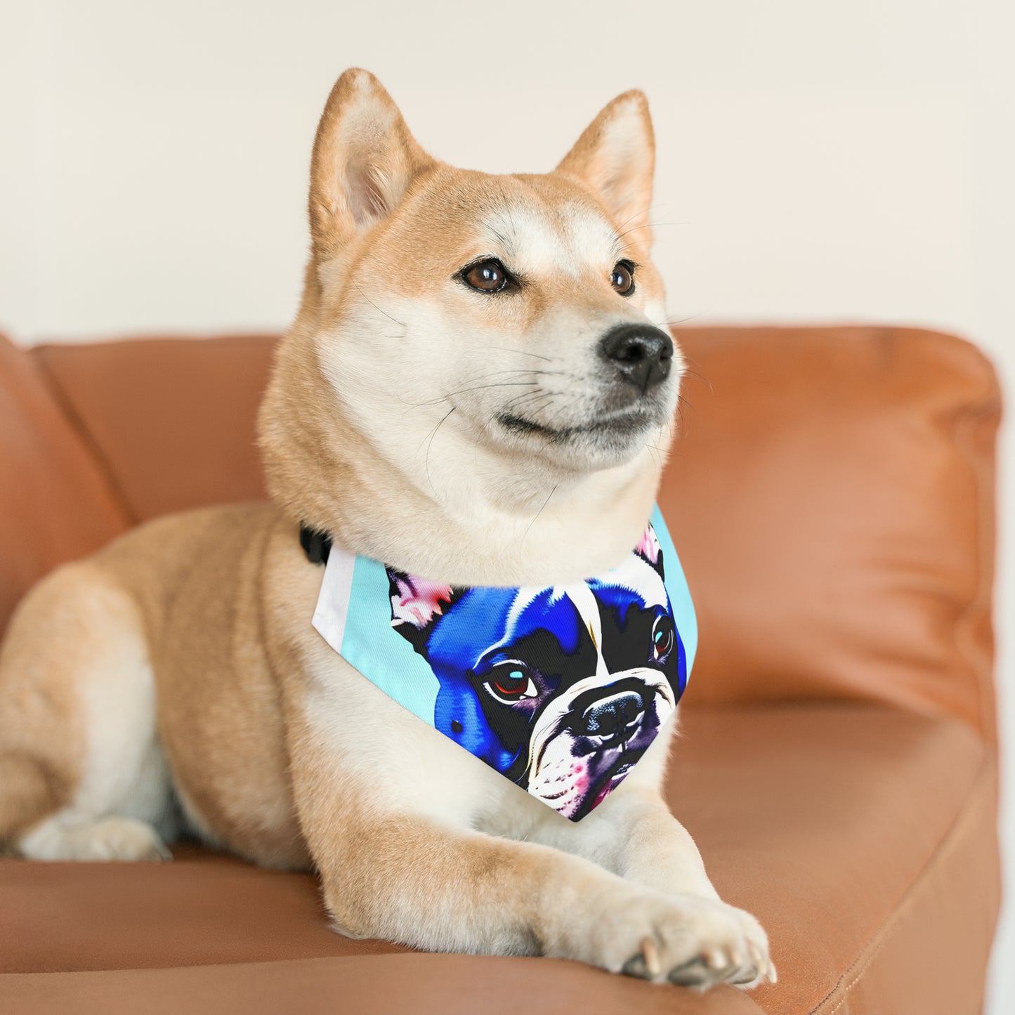 Blue Frenchie Pet Bandana Collar