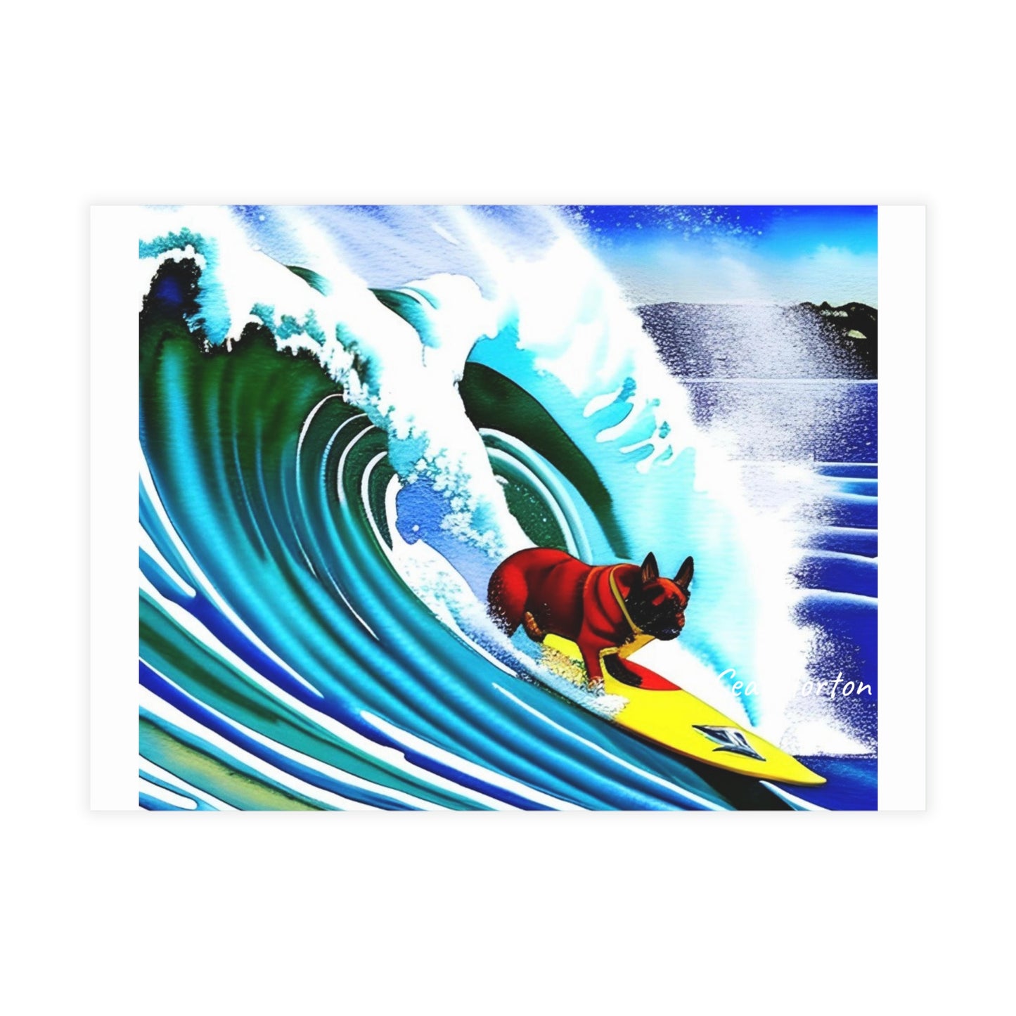 Surfing Frenchie Postcard Bundles (envelopes included)