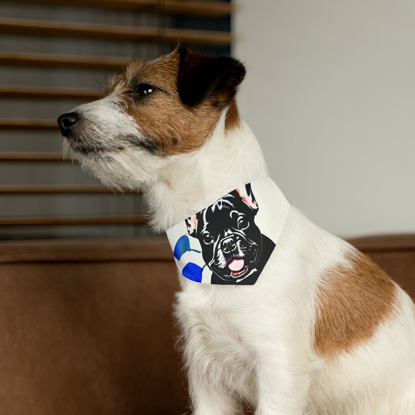 Frenchie with a Soccer Ball Pet Bandana Collar