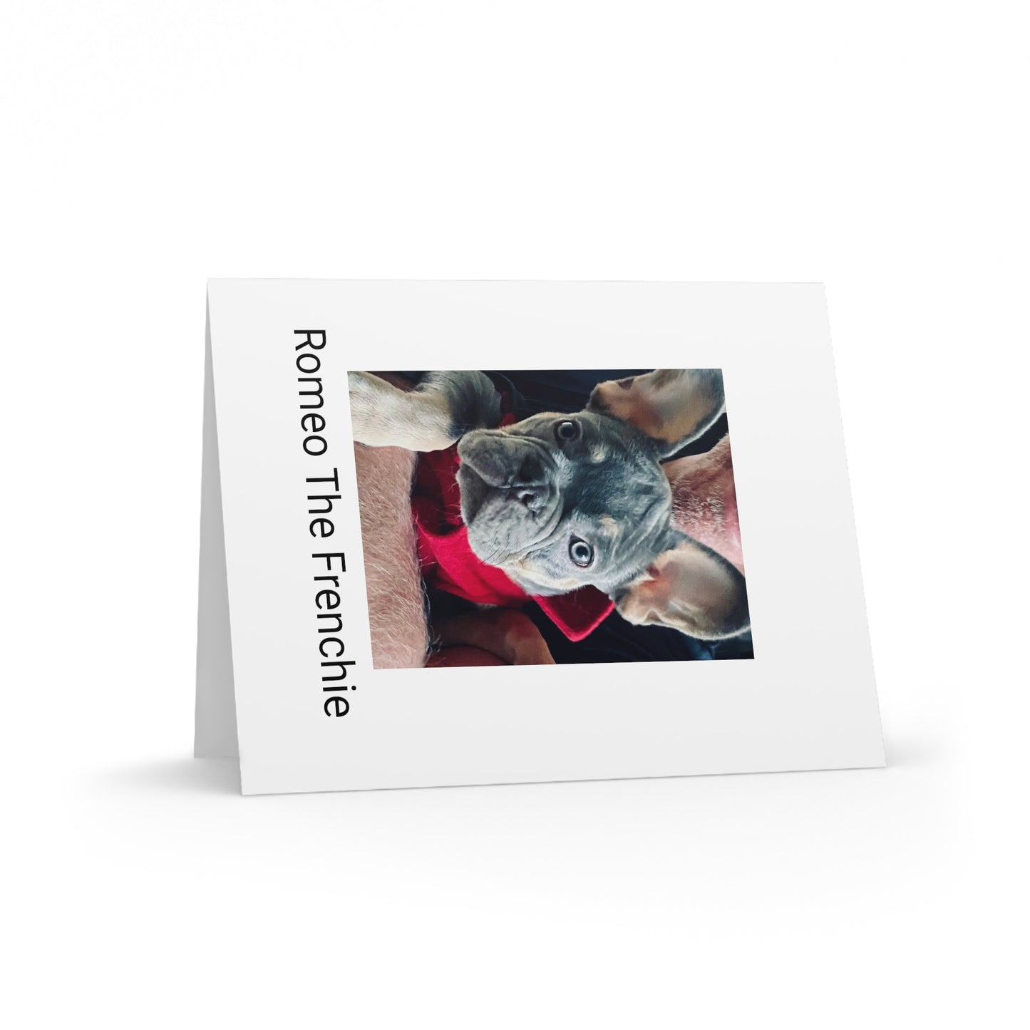 Romeo The Frenchie Greeting cards (8, 16, and 24 pcs)